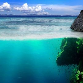 Глубокое море (58 фото)