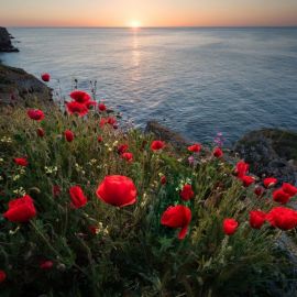 Красное море в Крыму (58 фото)