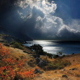Природа черного моря (50 фото)