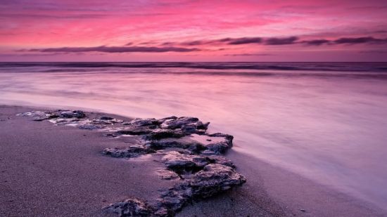 Розовый океан (59 фото)