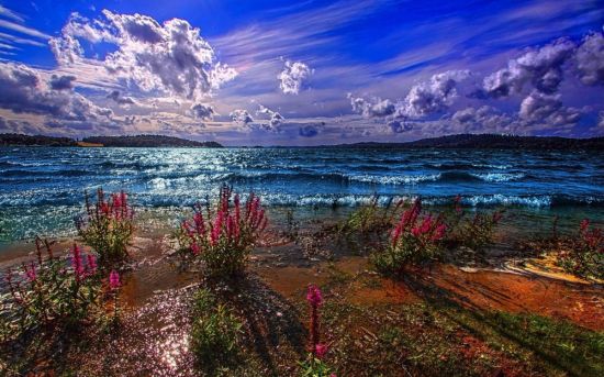 Красота красного моря (56 фото)