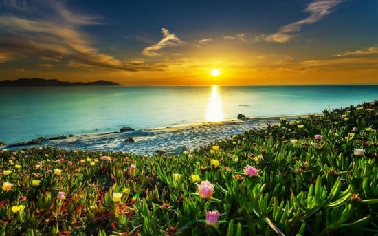 Море солнце цветы (53 фото)