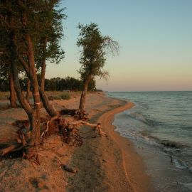 Коса долгая Азовское море (58 фото)