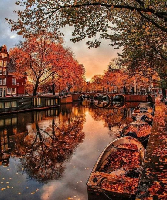 Осень в Амстердаме (56 фото)
