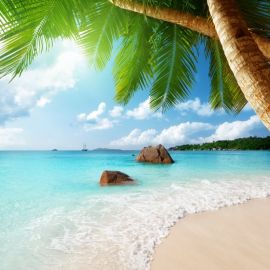 Море пальмы белый песок (57 фото)