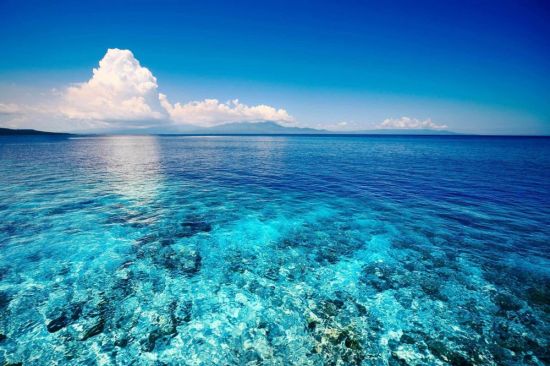 Море Сулавеси (57 фото)