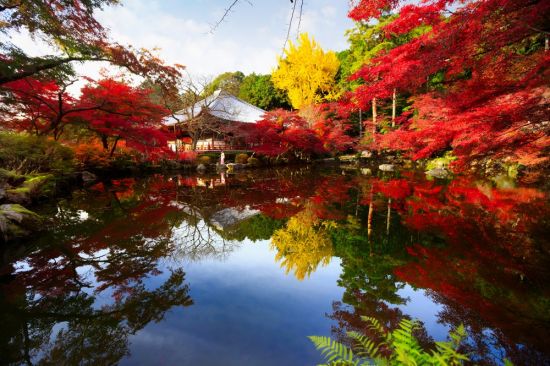 Осень в Японии (53 фото)