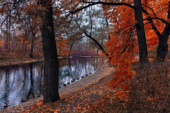 Осенний пейзаж ноябрь (55 фото)