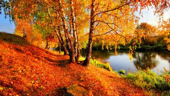 Осенняя пора (58 фото)