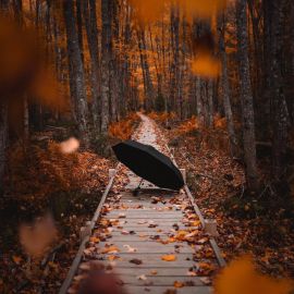 Осенняя грусть (59 фото)