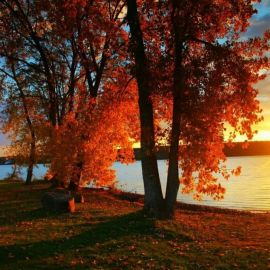 Закат осенью (56 фото)