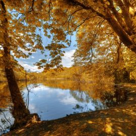 Осенняя река (58 фото)