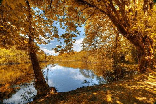Осенняя река (58 фото)