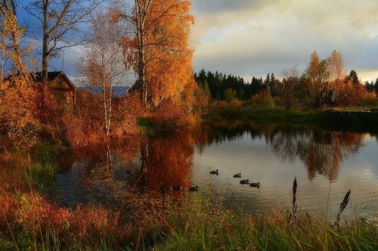 Осенний пруд (52 фото)