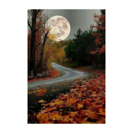 Осень Луна (56 фото)