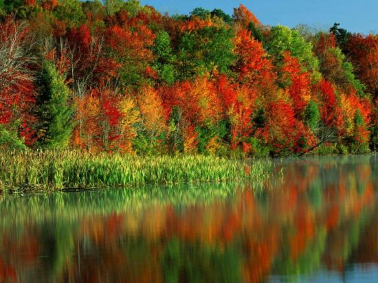 Осенние цвета (55 фото)