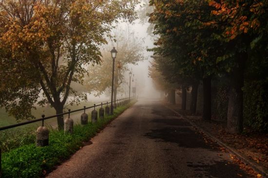 Осенняя улица (55 фото)