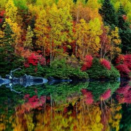 Разноцветная осень (53 фото)