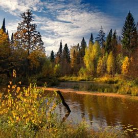 Осенние пейзажи России (55 фото)