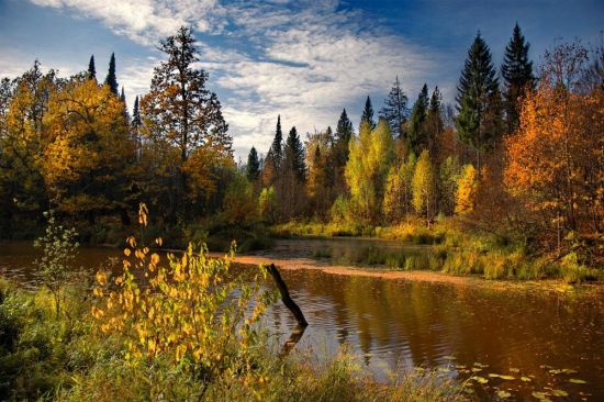 Осенние пейзажи России (55 фото)