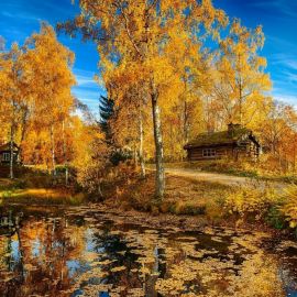 Золотая осень в России (56 фото)