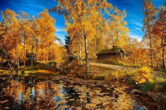 Золотая осень в России (56 фото)