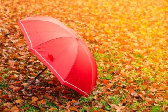 Осенний зонтик (50 фото)