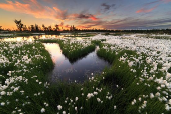 Весна на Ямале (44 фото)