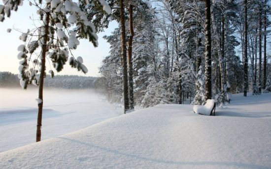 Шуваловский парк зима (52 фото)