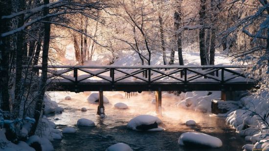 Мост зимой (54 фото)