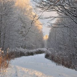 Опять зима (55 фото)