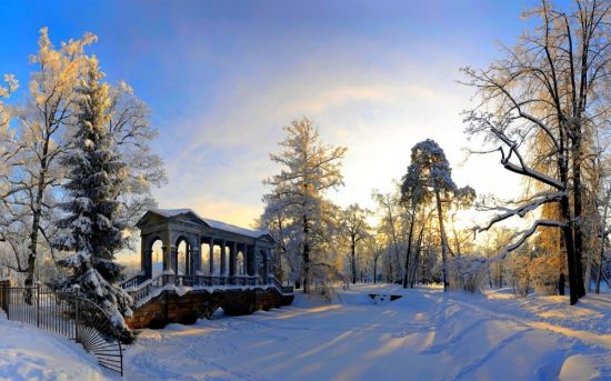 Парк Кузьминки зима (56 фото)