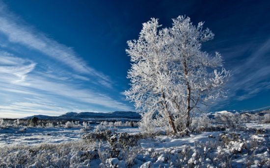 Красивое зимнее небо (53 фото)
