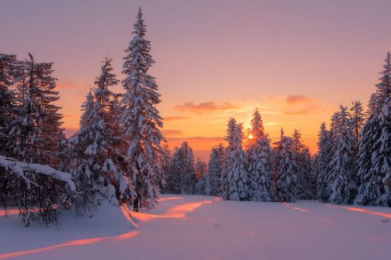 Сибирская Тайга зимой (57 фото)
