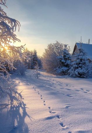 Настоящая русская зима (57 фото)