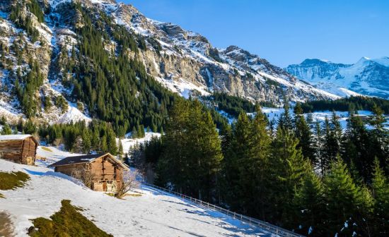 Швейцарские Альпы зимой (58 фото)