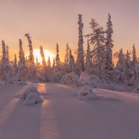 Зима на севере (58 фото)