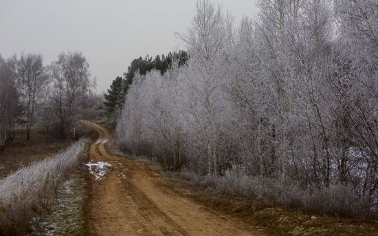 Бесснежная зима (54 фото)