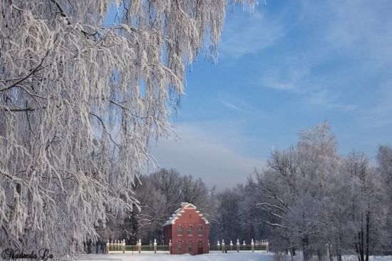 Парк Кусково зимой (56 фото)