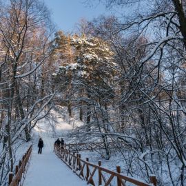 Парк Покровское Стрешнево зимой (57 фото)