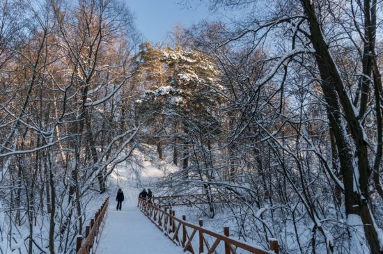 Парк Покровское Стрешнево зимой (57 фото)