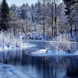 Лесное озеро зимой (59 фото)