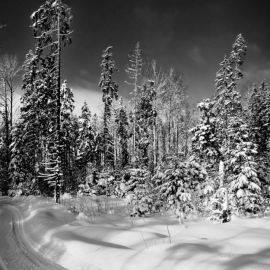 Черно белая зима (55 фото)