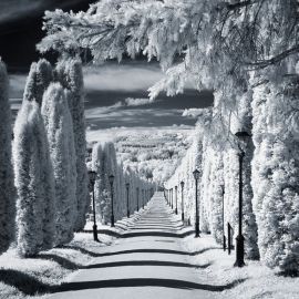 Чёрно белая зима (56 фото)