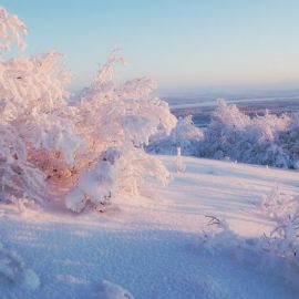 Горизонт зима (52 фото)