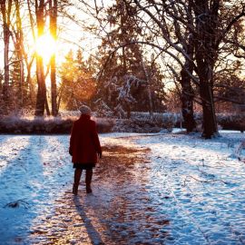 Прогулка в парке зимой (55 фото)