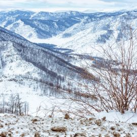 Перевал Чике Таман зимой (59 фото)