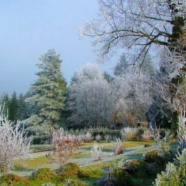 Английский сад зимой (54 фото)