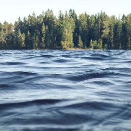 Озеро Лахтинский разлив (60 фото)