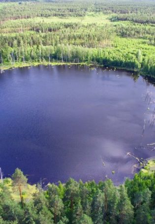 Смердячье озеро Шатурский район Московской области (57 фото)